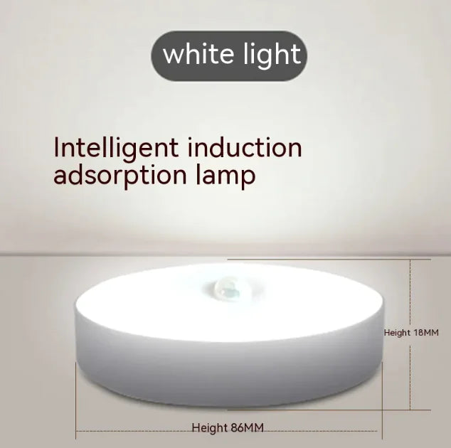 Smart LED Motion Sensor Lamp